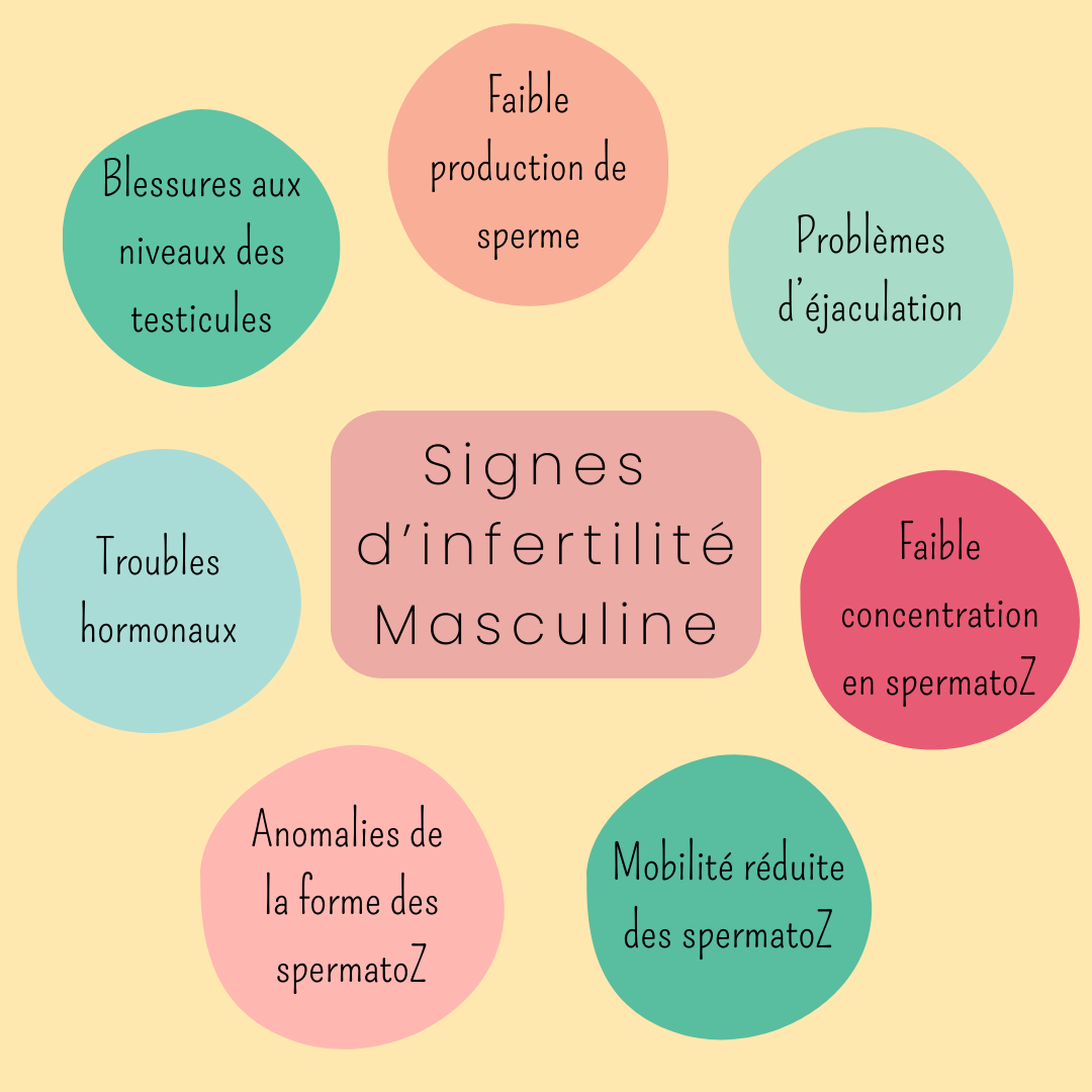 Infertilité masculine