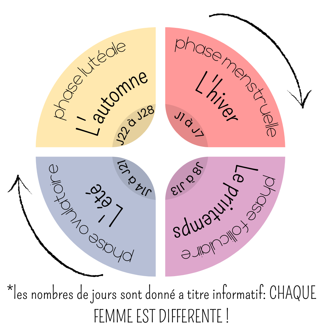 cycle menstruel